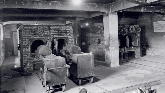 Ile osób przeżyło Auschwitz? Szokujące statystyki ocalałych